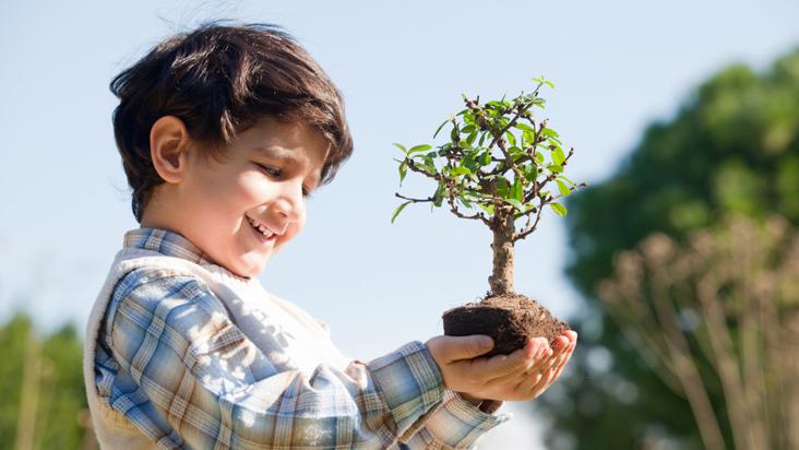 Incentivar a tu hijo a plantar un árbol